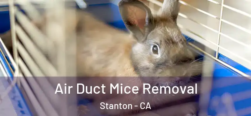  Air Duct Mice Removal Stanton - CA