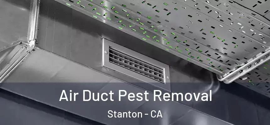  Air Duct Pest Removal Stanton - CA