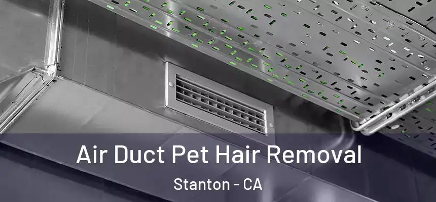  Air Duct Pet Hair Removal Stanton - CA
