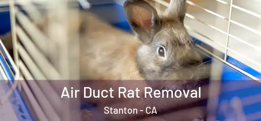  Air Duct Rat Removal Stanton - CA