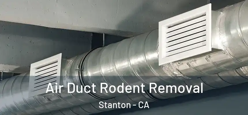  Air Duct Rodent Removal Stanton - CA