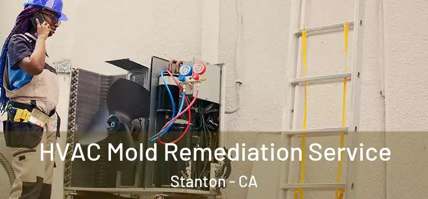  HVAC Mold Remediation Service Stanton - CA
