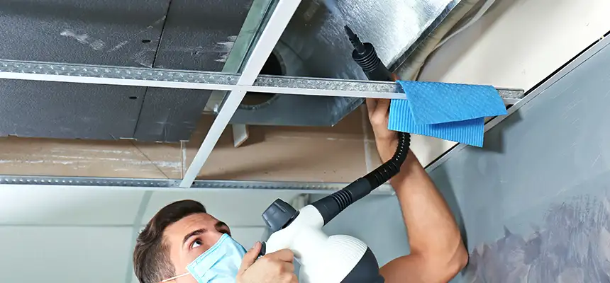 Our Air Duct Rodent Removal Services in Stanton, CA