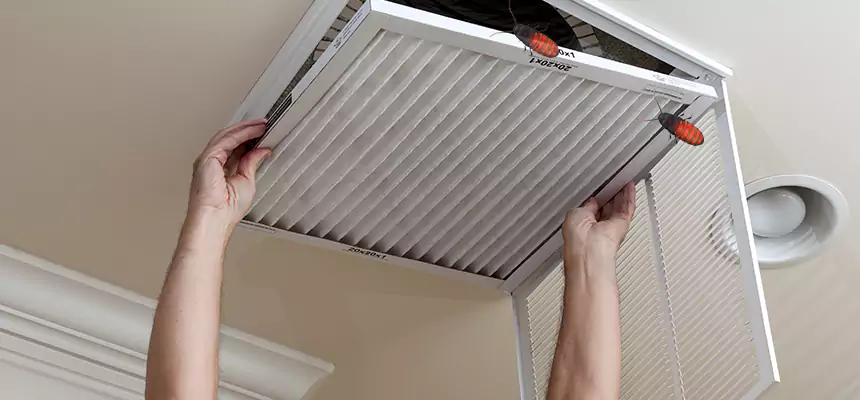 Our Insect Removal from Air Ducts Services in Stanton, CA
