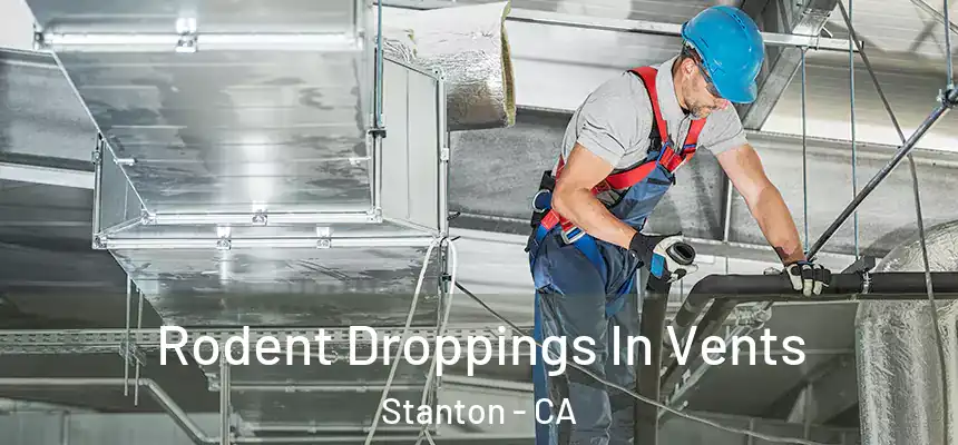  Rodent Droppings In Vents Stanton - CA