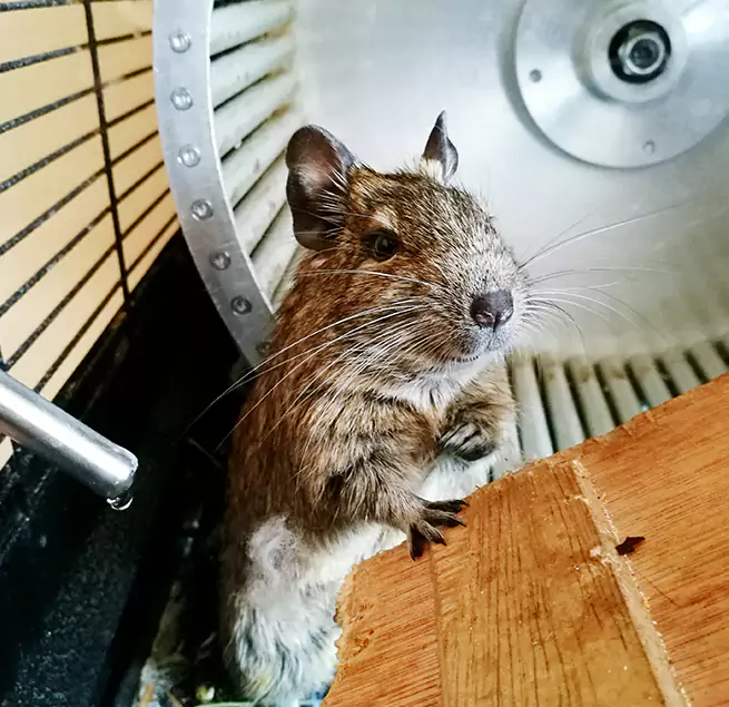 Why Homeowners & Businesses Trust Us Stanton, CA