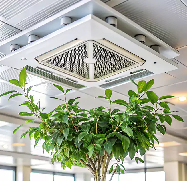 Why Homeowners & Businesses Trust Us in Stanton, CA